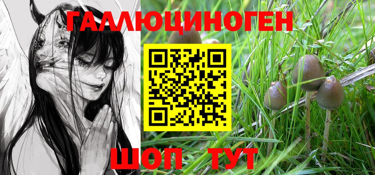 Галлюциногенные грибы мицелий  Псилоцибиновые грибы Magic Shrooms  купить наркоту  Артёмовский 